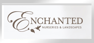 enchanted_logo